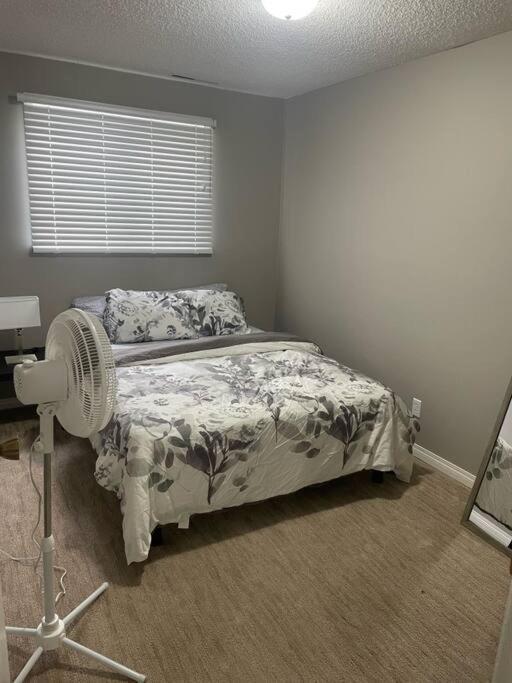 Wonderful 2-Bedroom Apartment Camrose Luaran gambar